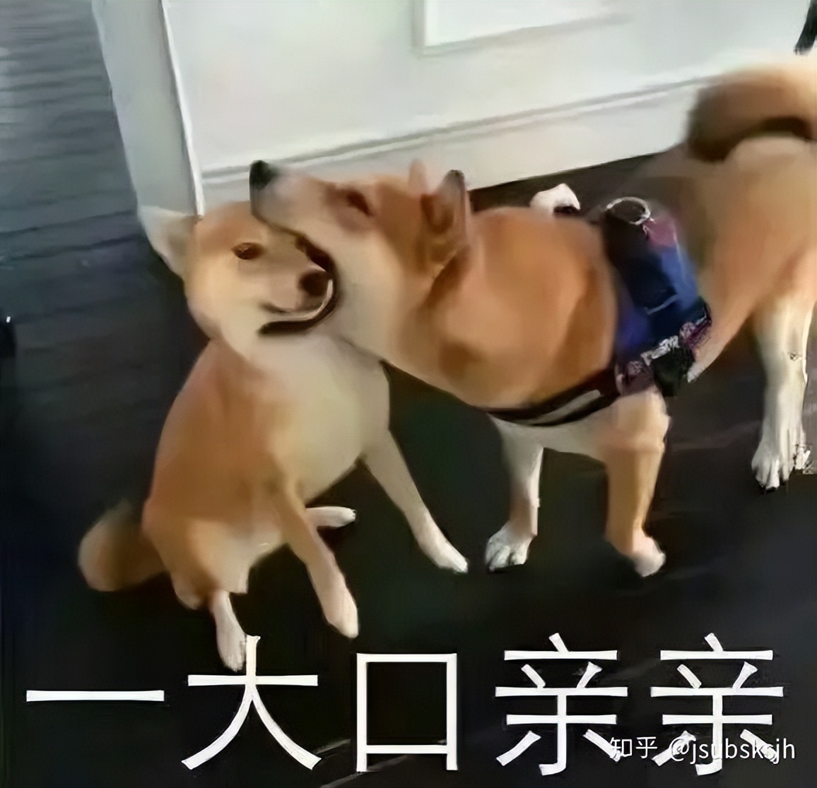 哪个口红比较显白适合黄黑皮,什么口红显白又滋润又持久