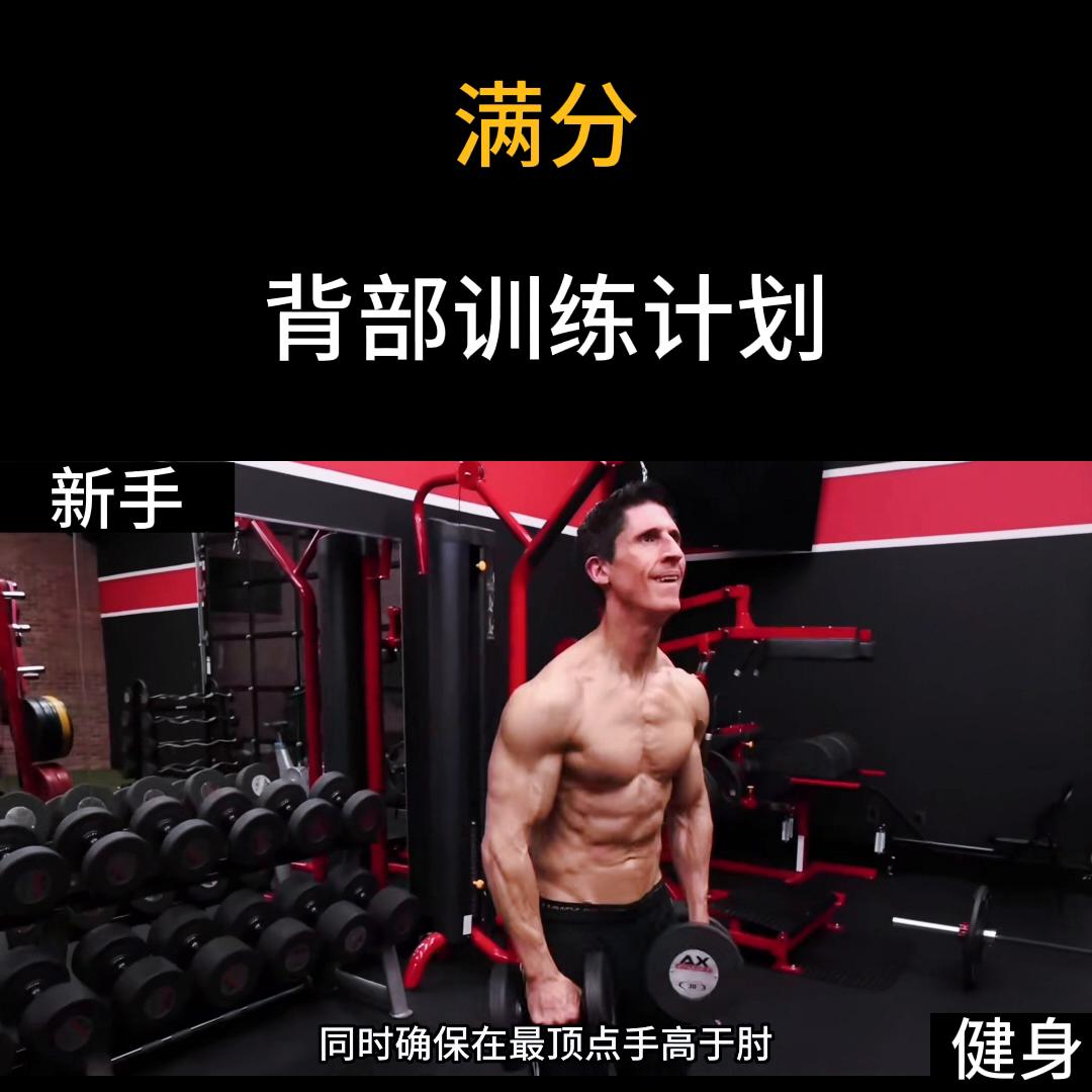 背部肌肉训练动作及计划,女性背部训练计划