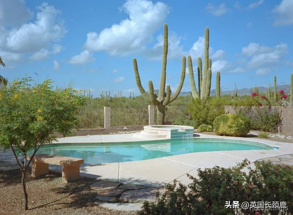 拍落日的胶片相机推荐,胶片机拍风景注意哪些问题