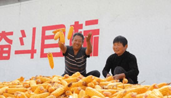 秋日美景美如画,秋日美景美不胜收