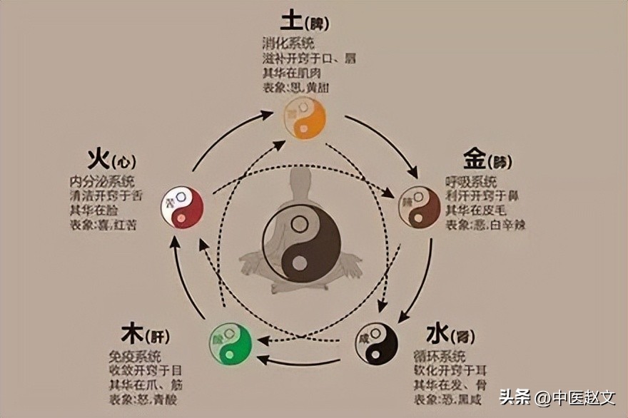 肾精亏虚怎么调理肾精,倪海厦治疗肾精亏虚的中药方子