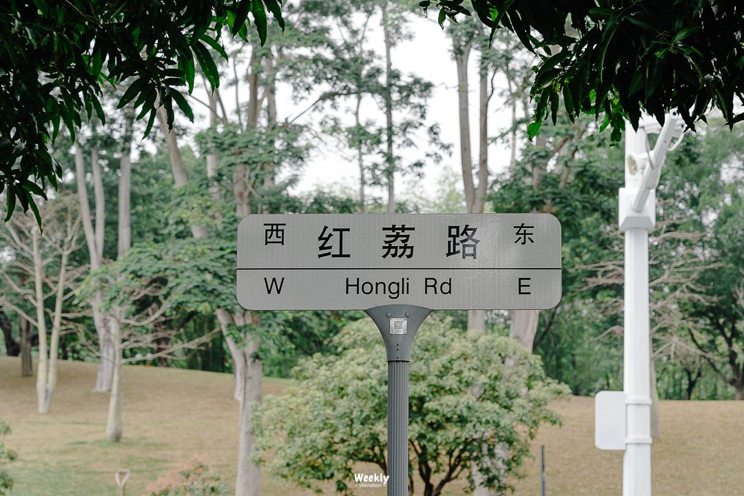 好好走过红荔路，才知道住福田有多让人羡慕