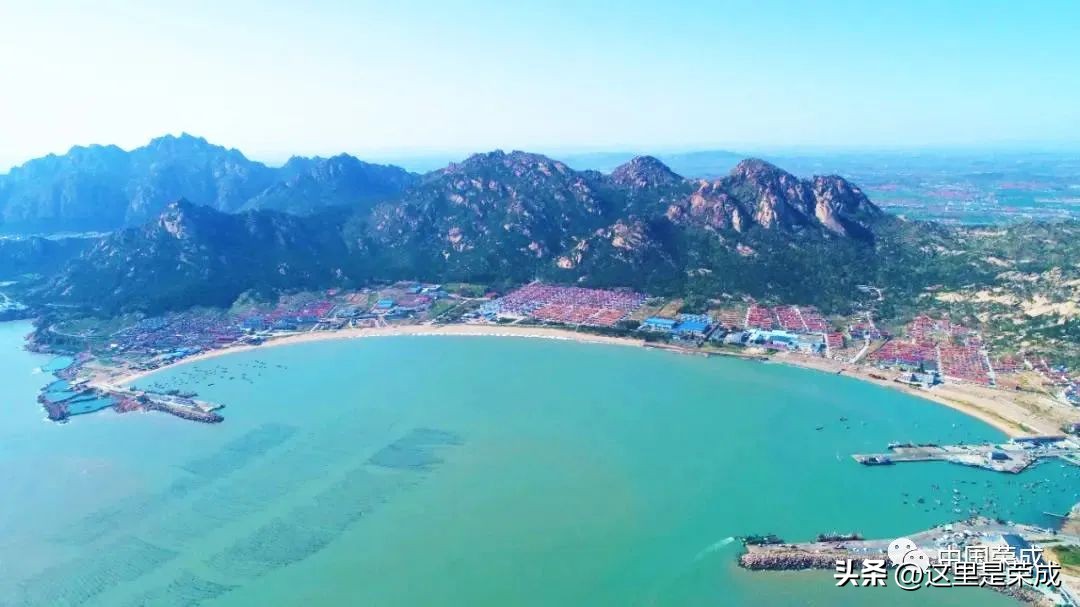 异域风情的漂亮植物,好看又清雅的植物