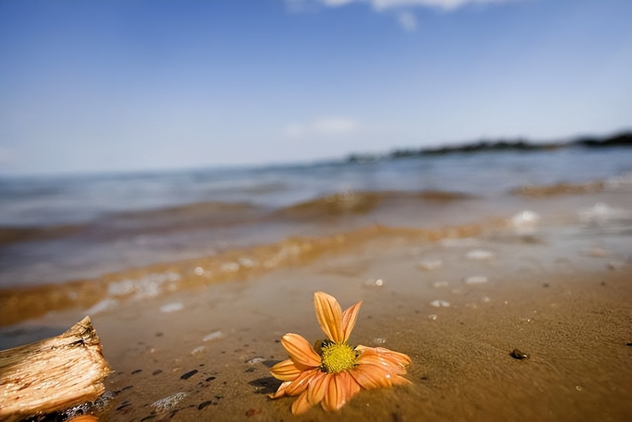 微信朋友不想联系了怎么处理,不想联系的人就算了吧