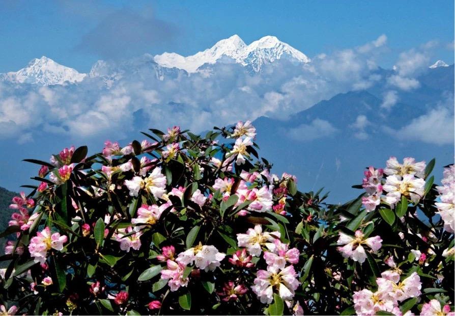 最新甘孜自驾路线三天,甘孜自驾4天路线