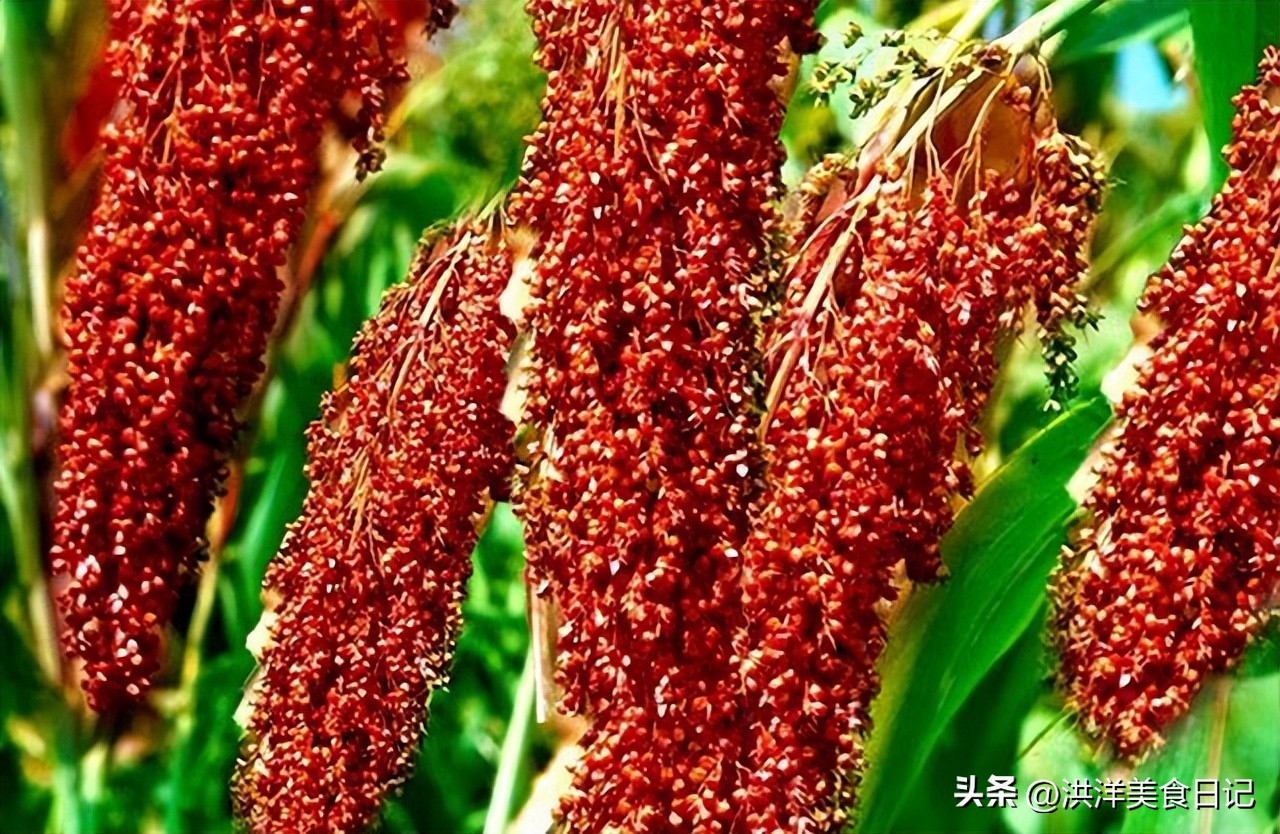 上海酒桌“怪象”：当地人不喝石库门，却偏爱这3款廉价酒