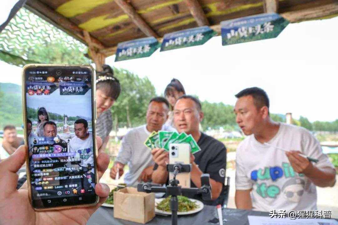 网红麦小登为啥排第二,麦小登网红排行榜