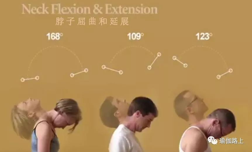 练瑜伽半年怎么走向高阶体式,练瑜伽我们不需要追求高难度体式