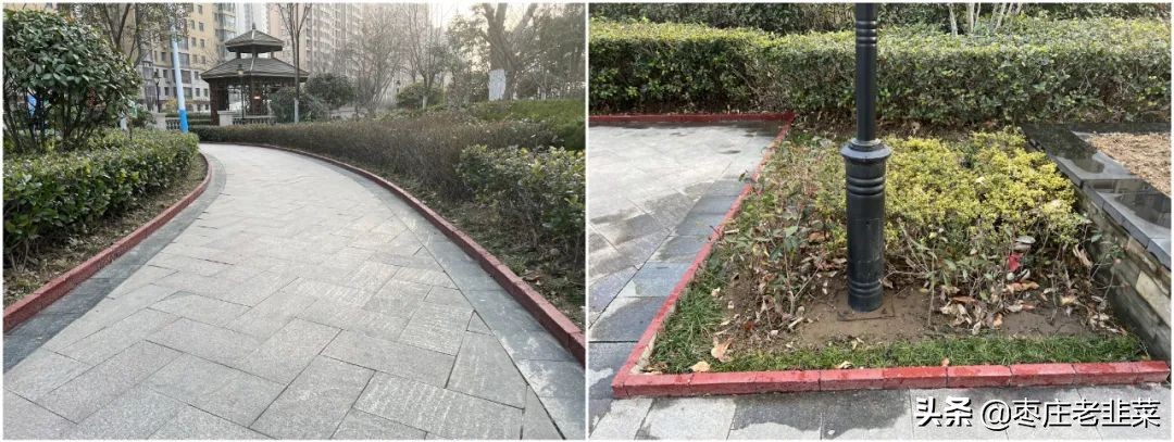 青铜还是王者？东湖片区物业服务调研报告