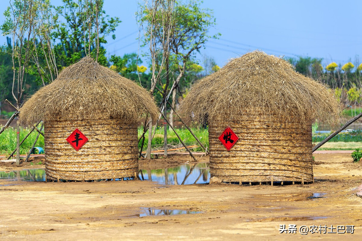 暴雨来袭的天气预报怎么播报,天气预报今天大暴雨下到哪了