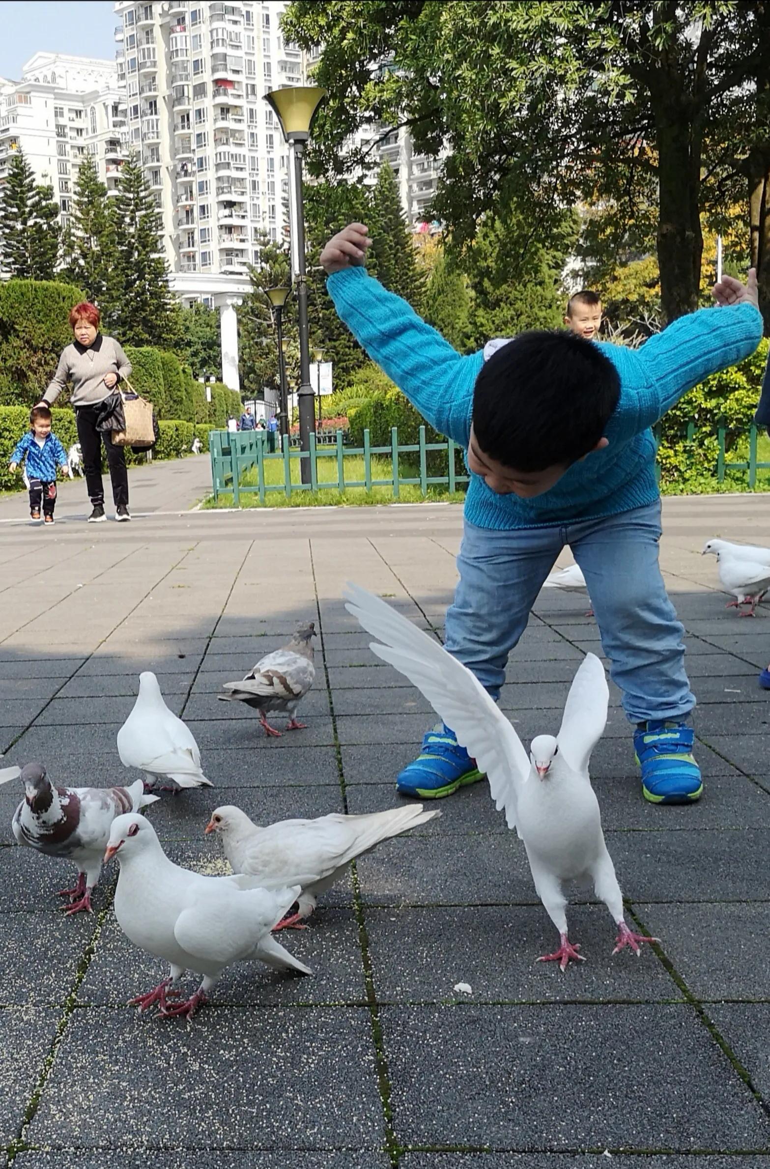 手拍世界作品专集,手拍世界283期