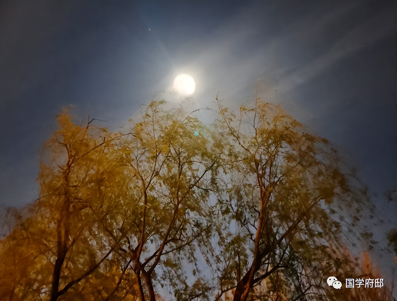 晚春美景的唯美诗句,遇见春天唯美诗词