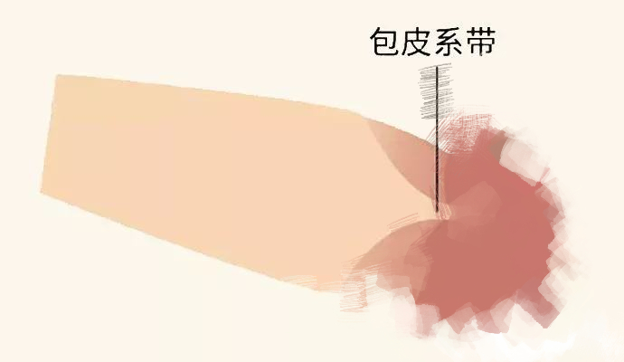 当第一次惨遭破身，才知道男生也有会撕裂的“*男处**膜”