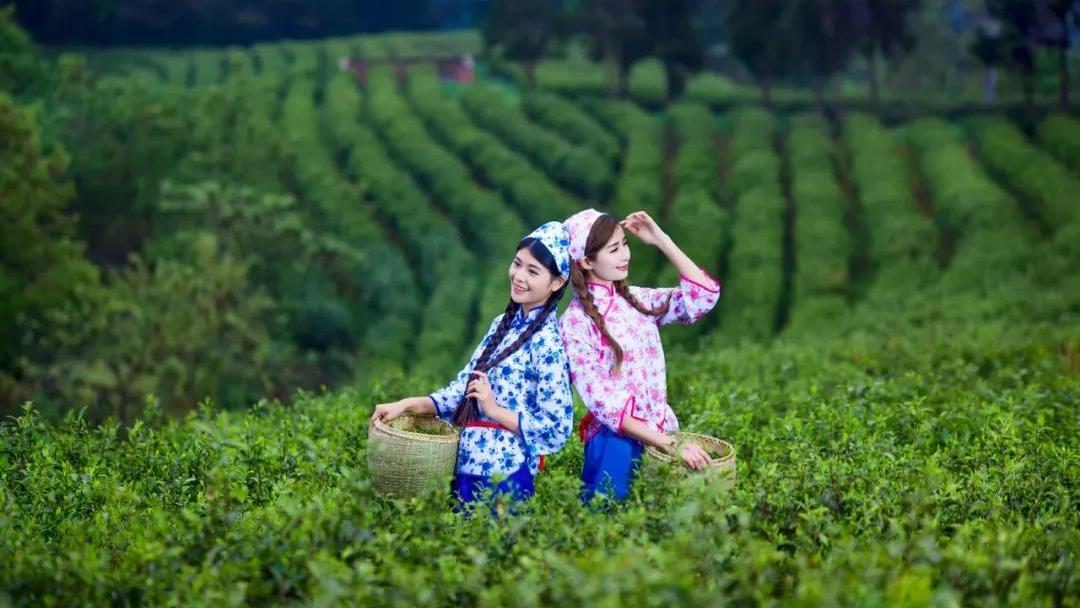 到四川广元必带的土特产,四川广元土特产有哪些