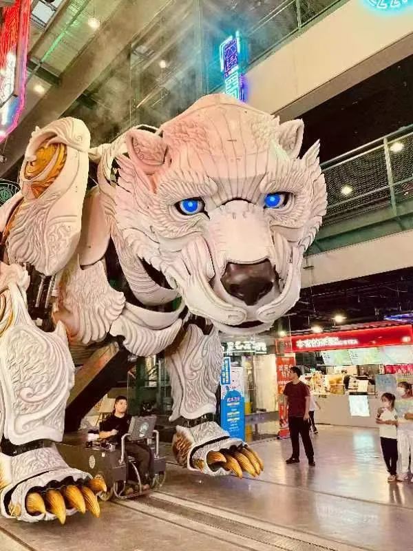 大连最美夏夜打开方式,大连最美时节