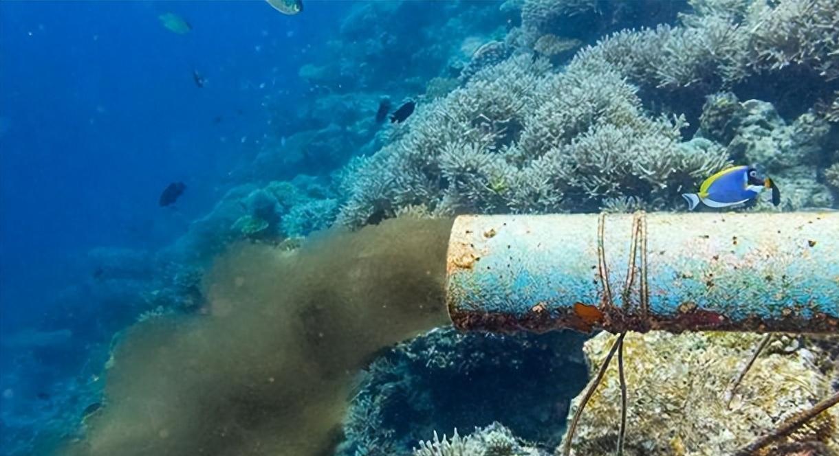 日本核辐射海水排放事件后续处理,日本核污水排海中毒事件