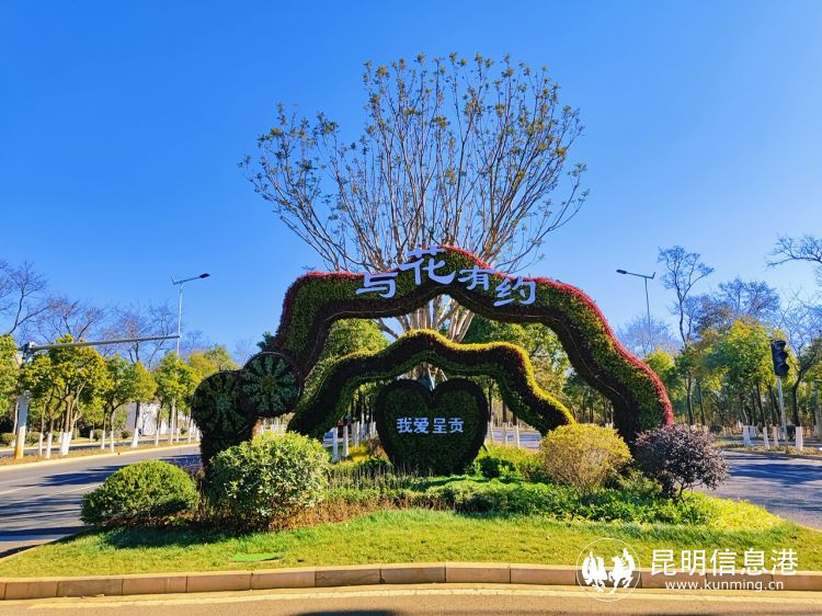 昆明网红打卡地教场中路蓝花路,昆明网红打卡地小花形环形天桥