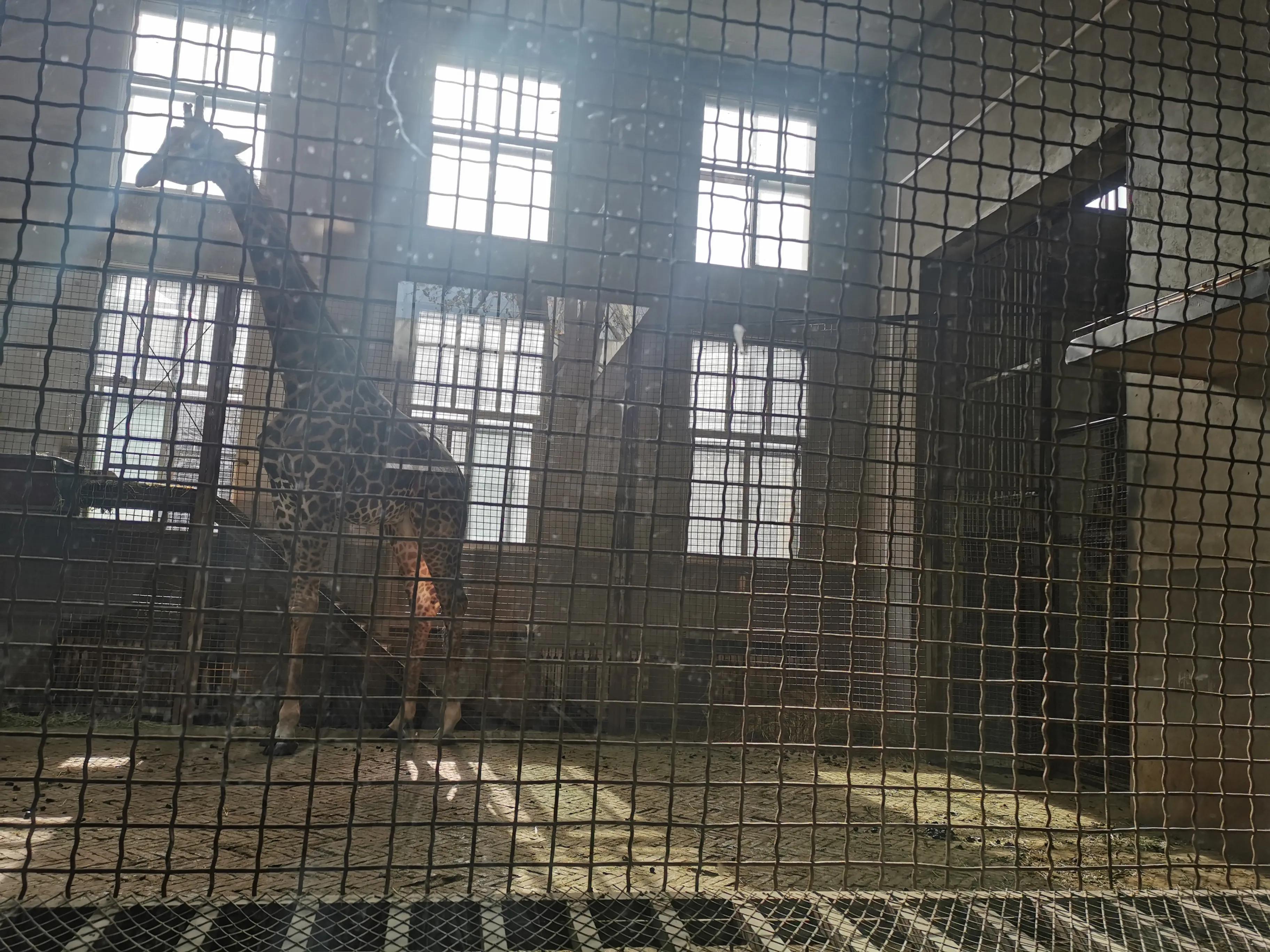 动物园里的温馨瞬间,动物园搞笑瞬间