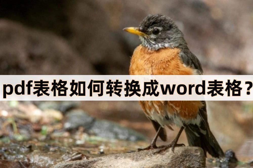 PDF表格怎样转换成word表格,pdf转换成word表格出现混乱怎么办
