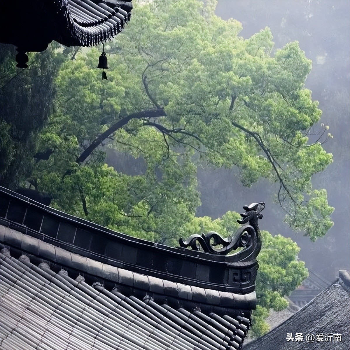 十首绝美夏天诗词大全,微雨过小荷翻榴花开欲然全诗