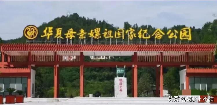 自制桑葚果酱不放糖,自制桑葚果酱的危害