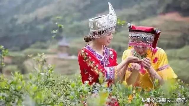 清远金子山旅游攻略看雾凇,广东金子山雪景旅游攻略