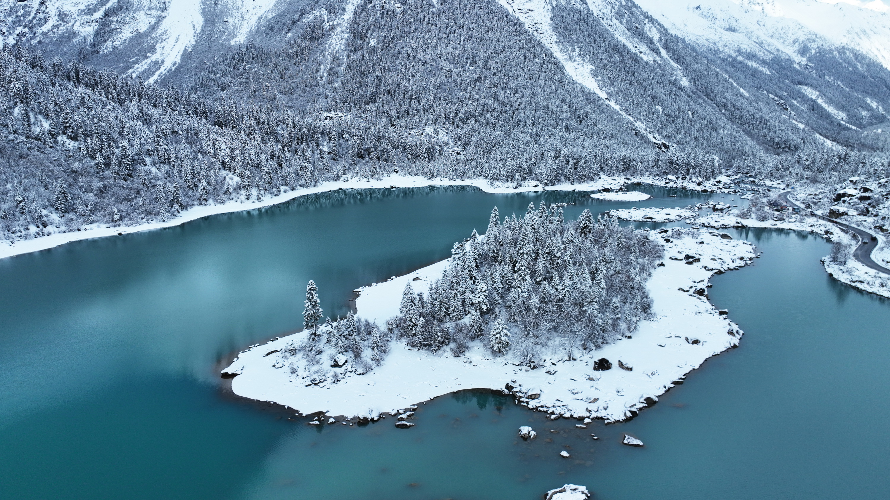 雪域林芝桃花图片 (在雪域江南西藏林芝邂逅漫山桃花)