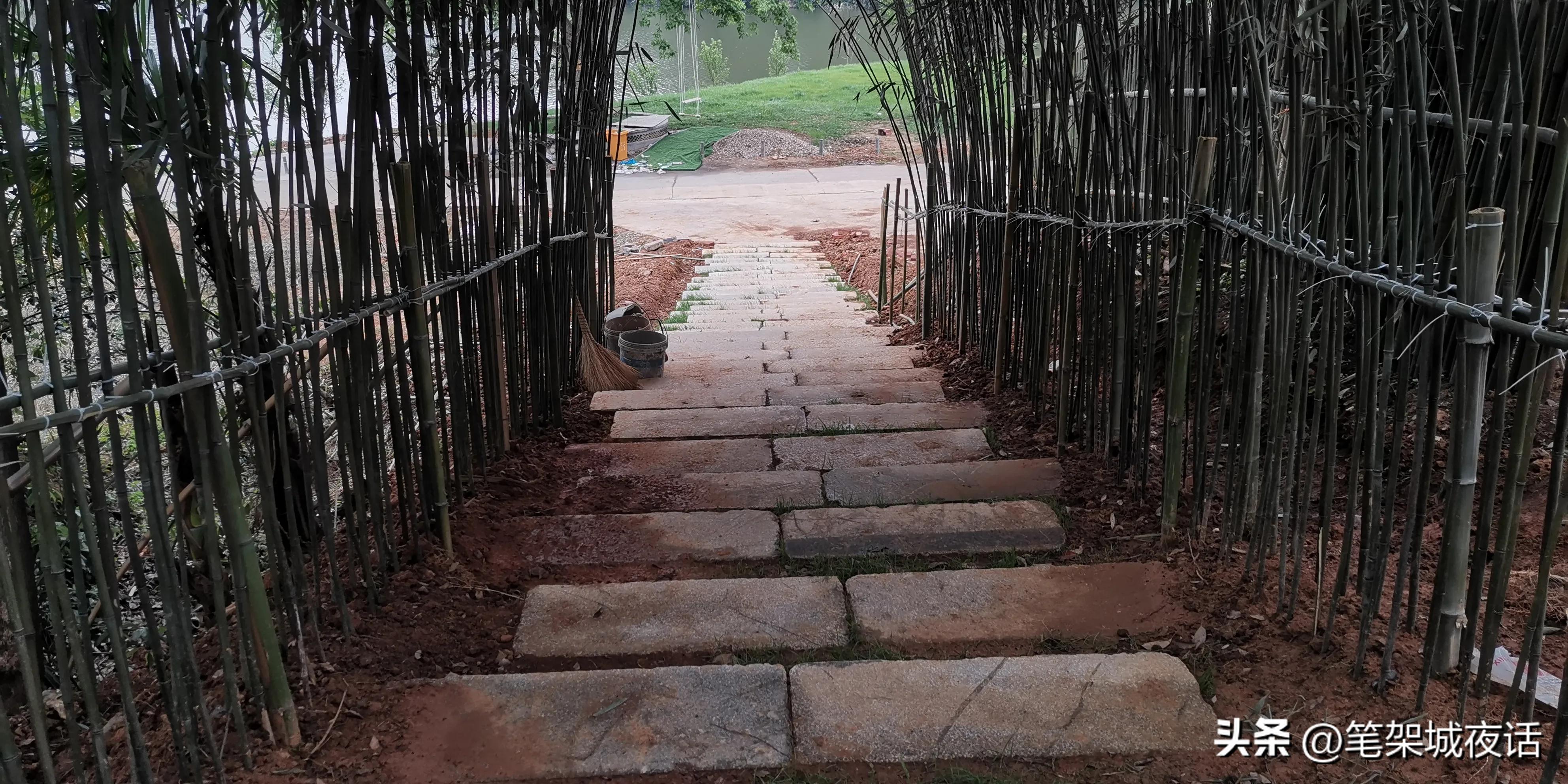 白鹤山好玩的地方,白鹤山竹林秘境