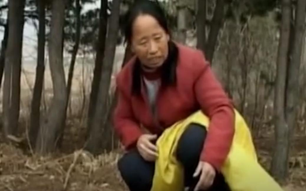 吉林农妇救了一条蛇,吉林农妇救蛇全集