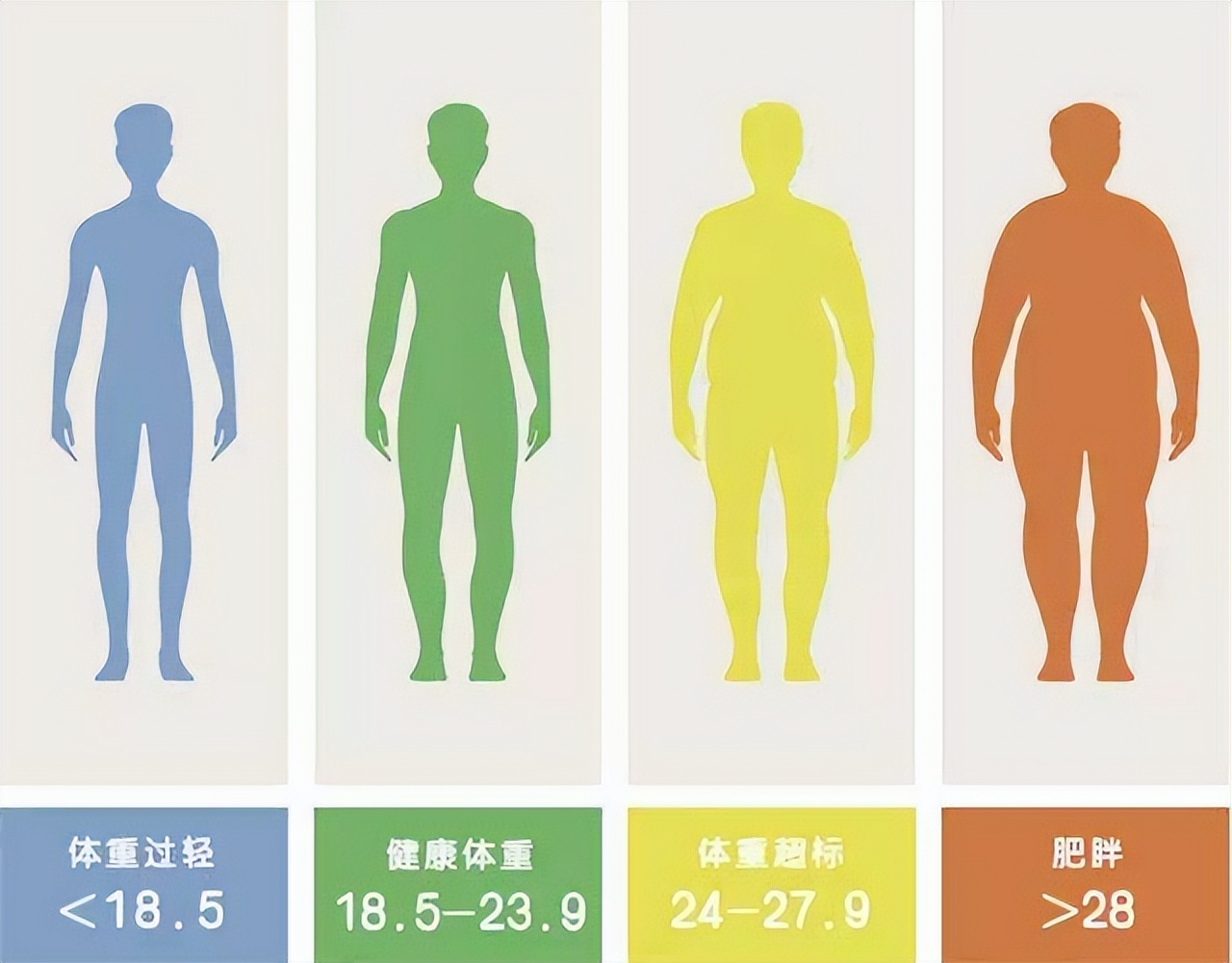 为什么美国的马桶前面有个缺口,美国马桶前面有个缺口