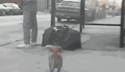 塞进去容易拔出来难,妹子着急死了哈哈哈哈哈哈！真的尴尬啊