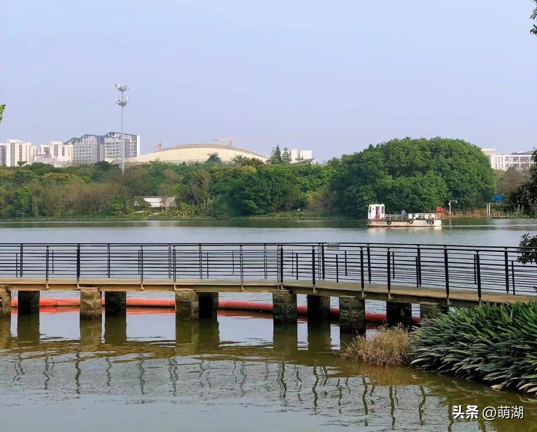 夏天去广州旅游攻略一天,广州旅游攻略一天一夜自由行