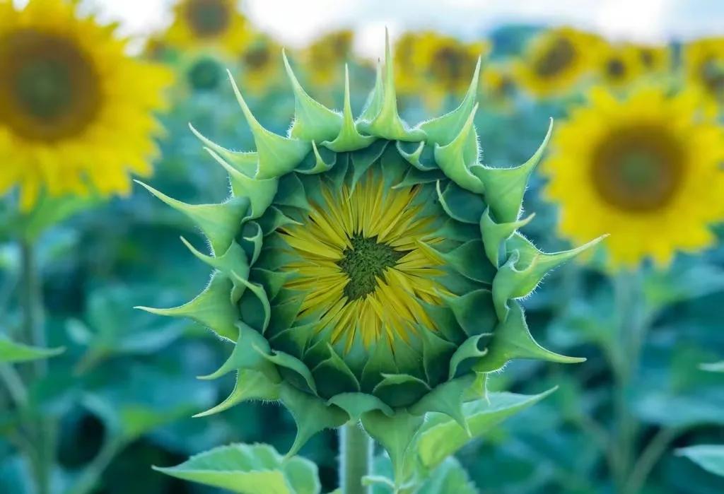 对音乐人的鼓励,我对音乐有自己的想法