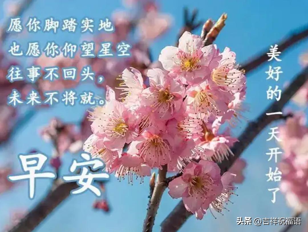 早上好温馨问候最漂亮表情包,每天换图片的早上好问候表情包