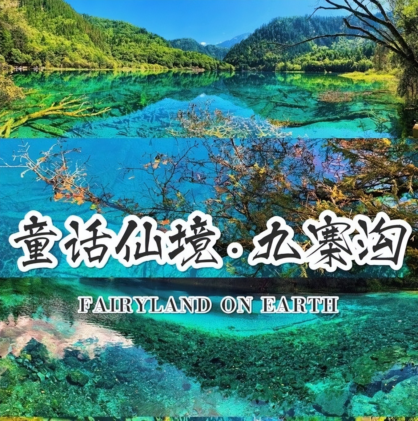 成都到九寨沟旅游跟团报价表图片,九寨沟3日游九寨沟报团价目表