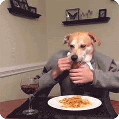 “舔尿道口”=“恶心”？主人你错了，看完赶紧重视起来