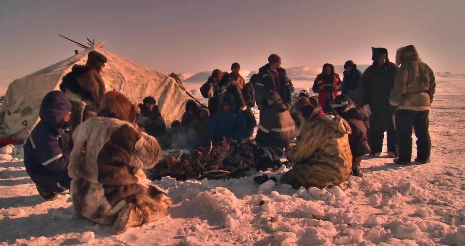 俄罗斯牧民有多少钱,俄罗斯鄂温克人饲养驯鹿