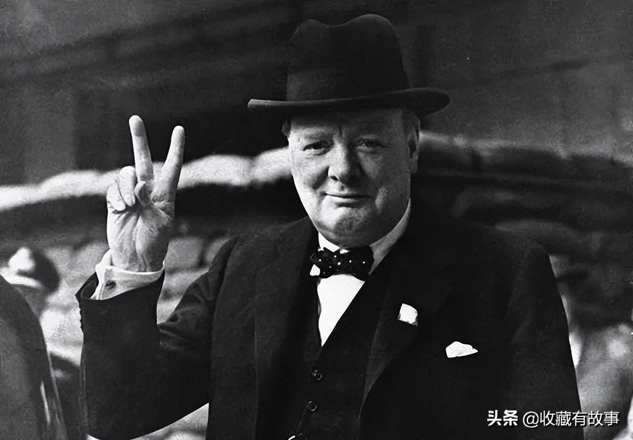 盾形徽章logo,盾牌和鸟的徽章