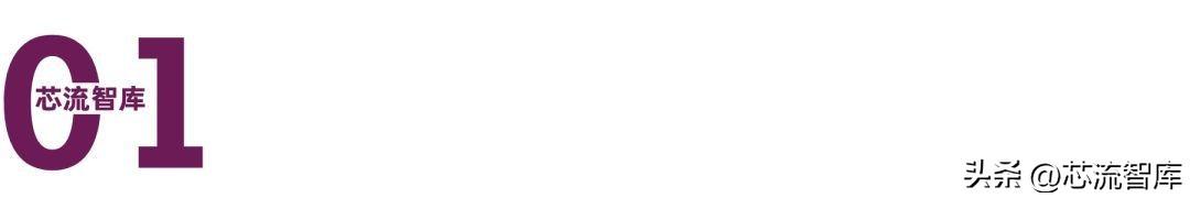 段永平与步步高,段永平如何创办步步高的