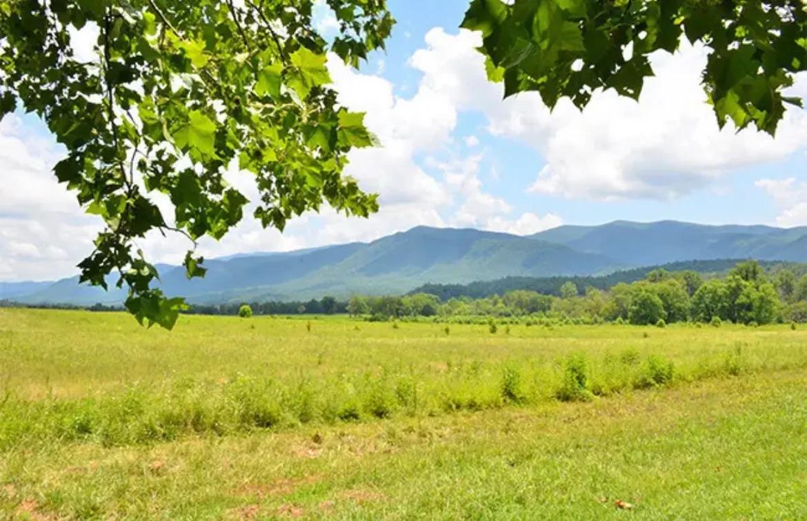 心理学有趣的小法则,三个心理学小技巧交给你