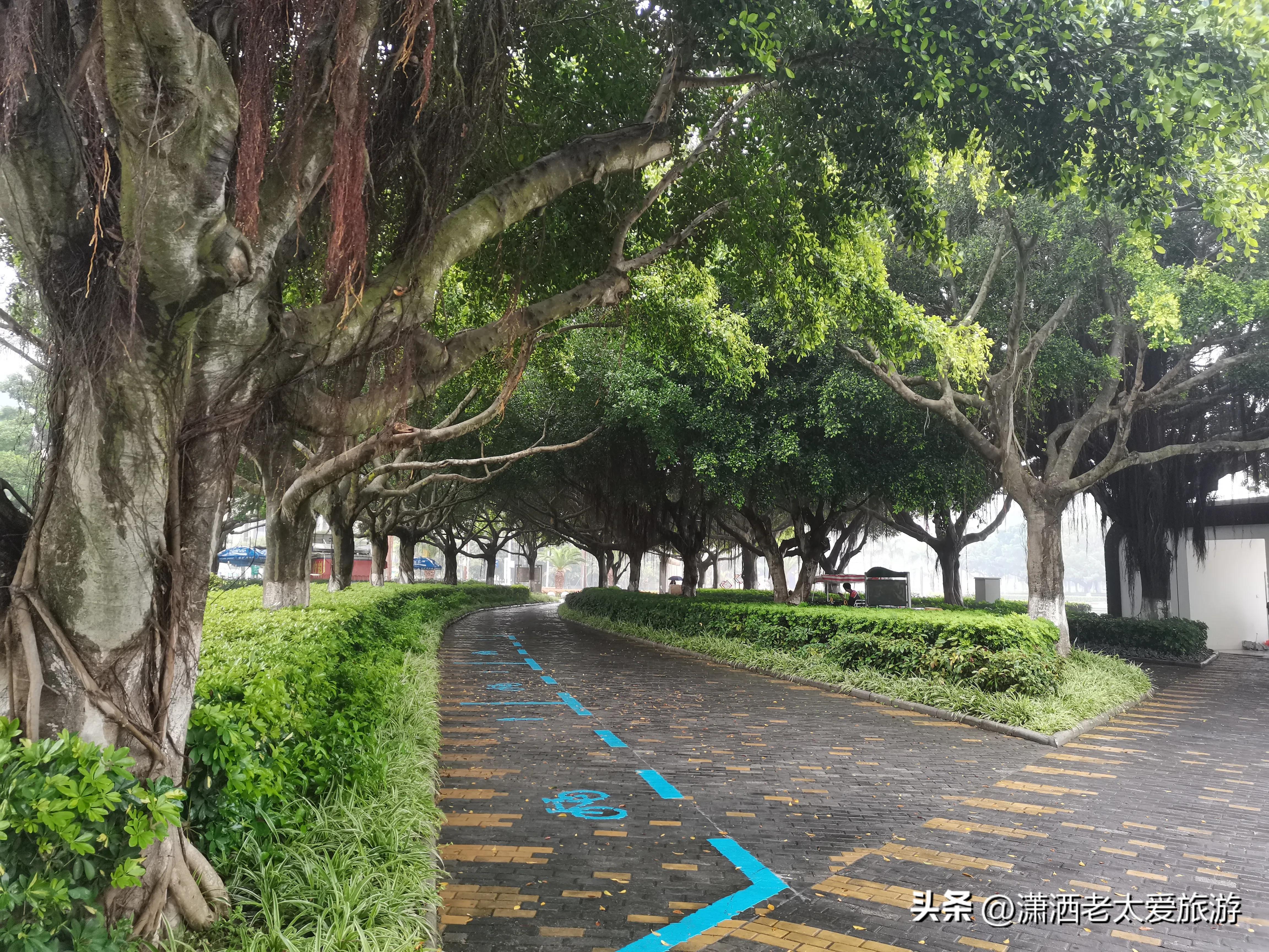 厦门3天2晚自由行1299,厦门旅游攻略3天2晚自由行2月