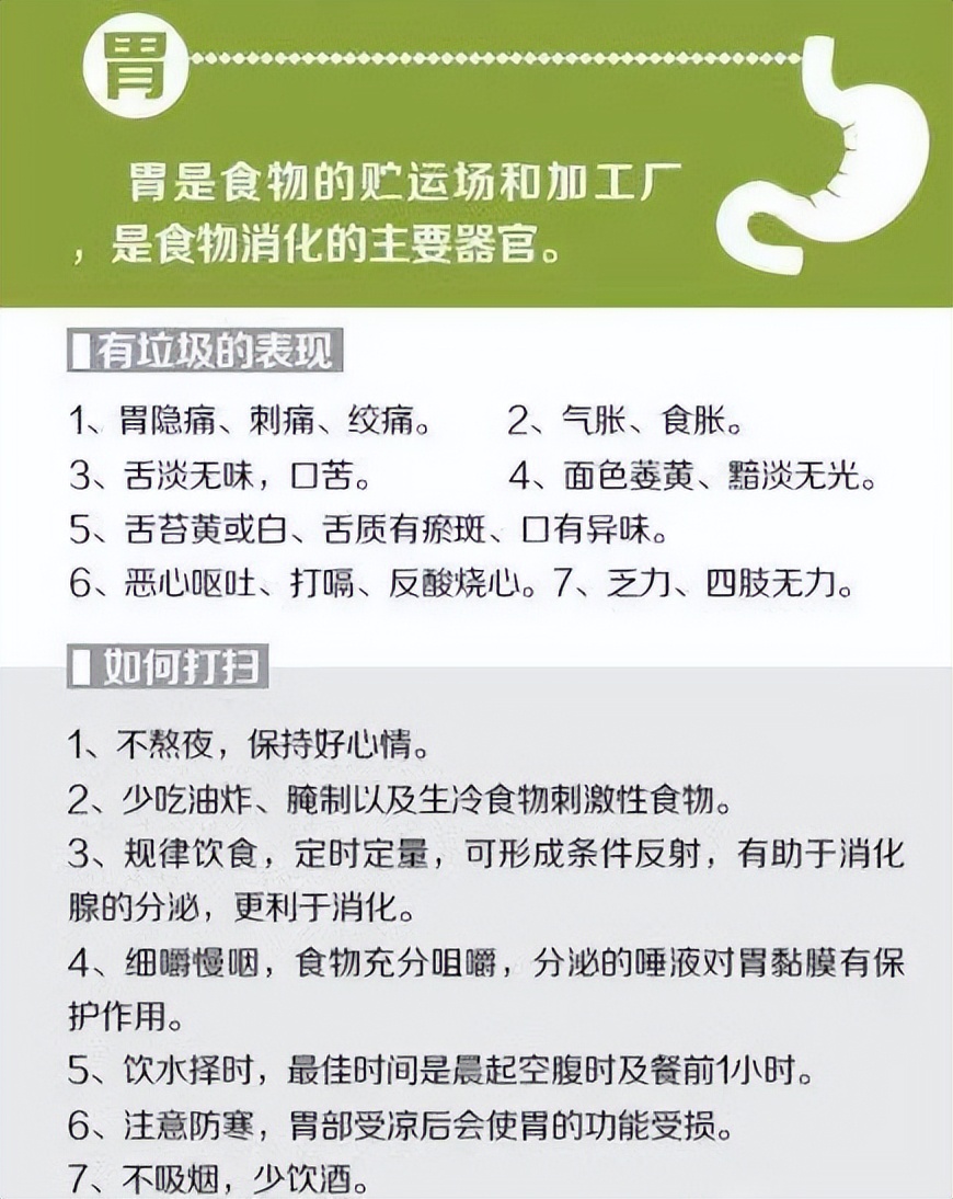 最全的中医五脏六腑的功能介绍,中医专家讲解五脏六腑视频