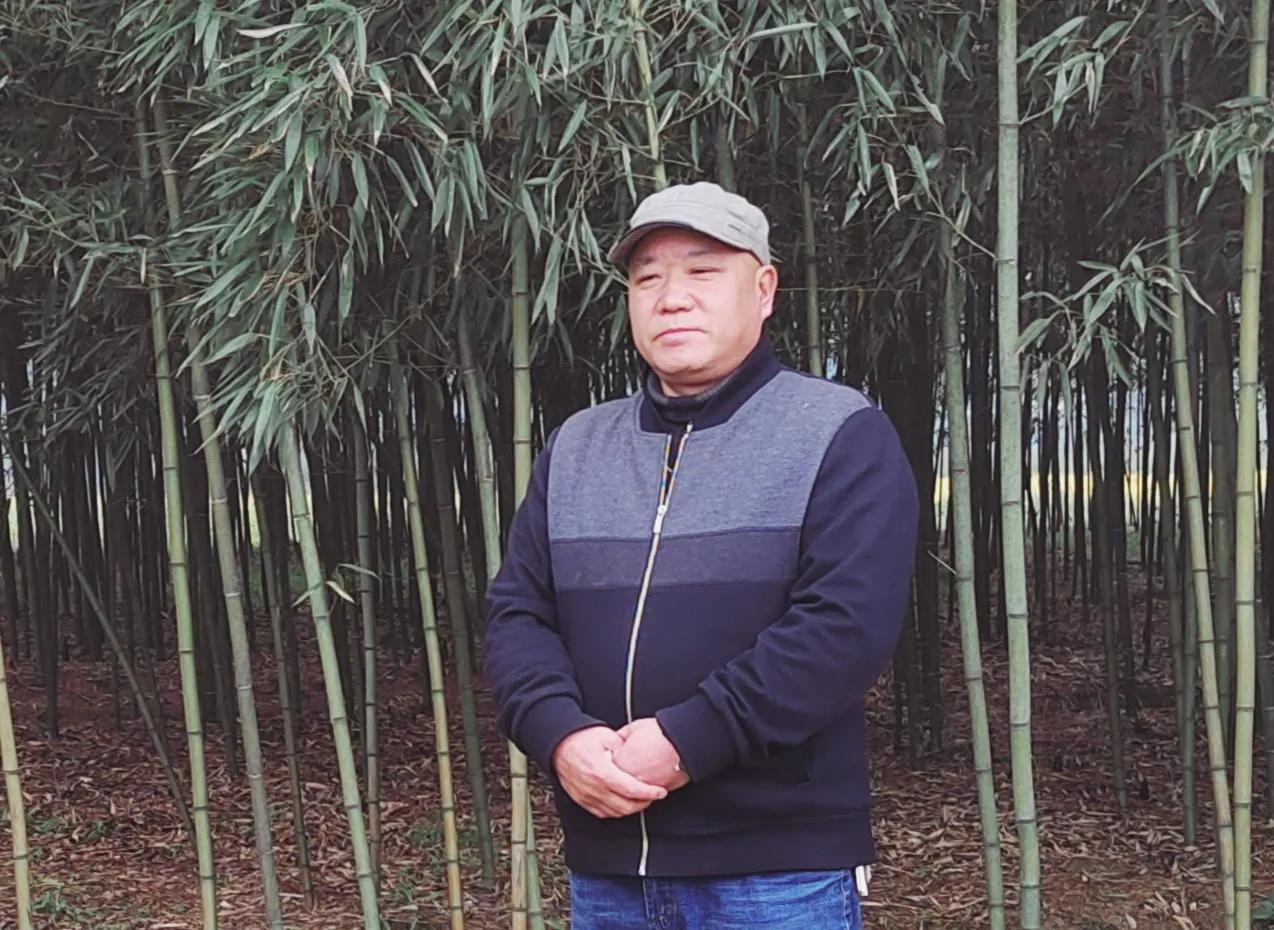 时代新视点‖王坤华：好竹连山觉笋香