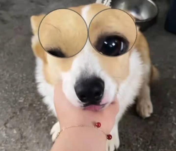 关于王诗龄的炫富看法,王诗龄还晒出了自己的照片