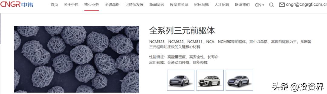 湖南中伟新材料股份有限公司,湖南中伟新材料科技有限公司