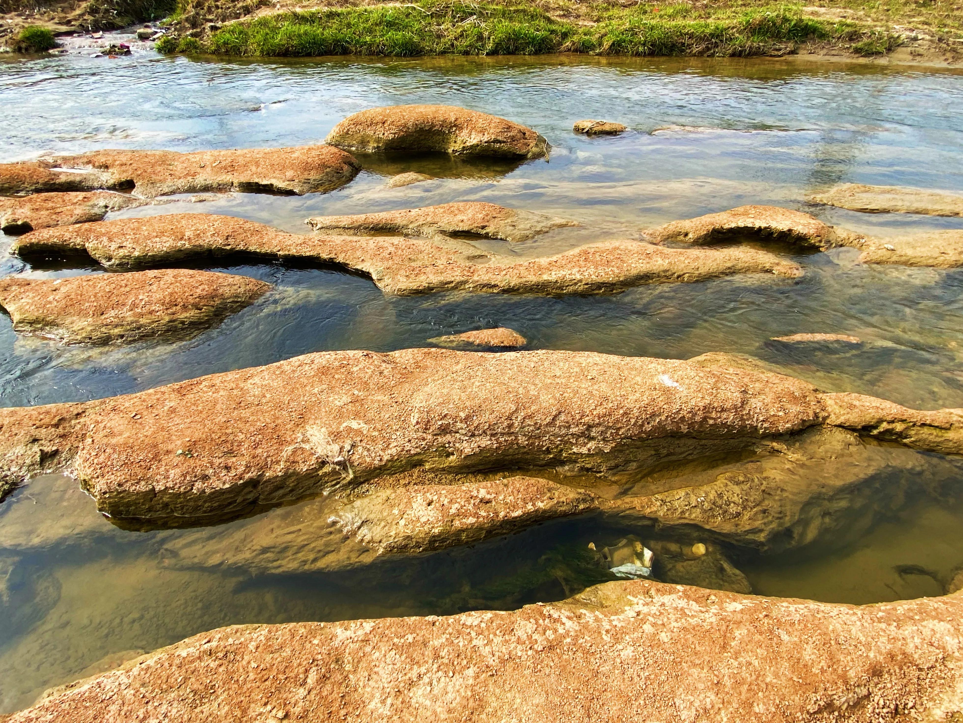 河边的景色真是太美了,文川河风景