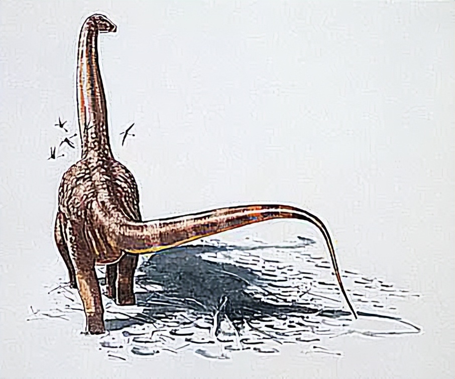 泰坦巨龙图片从哪来的,泰坦巨龙恐龙图片和简介