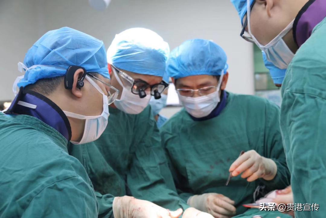 祝贺!贵港一批优秀团体、个人获表扬