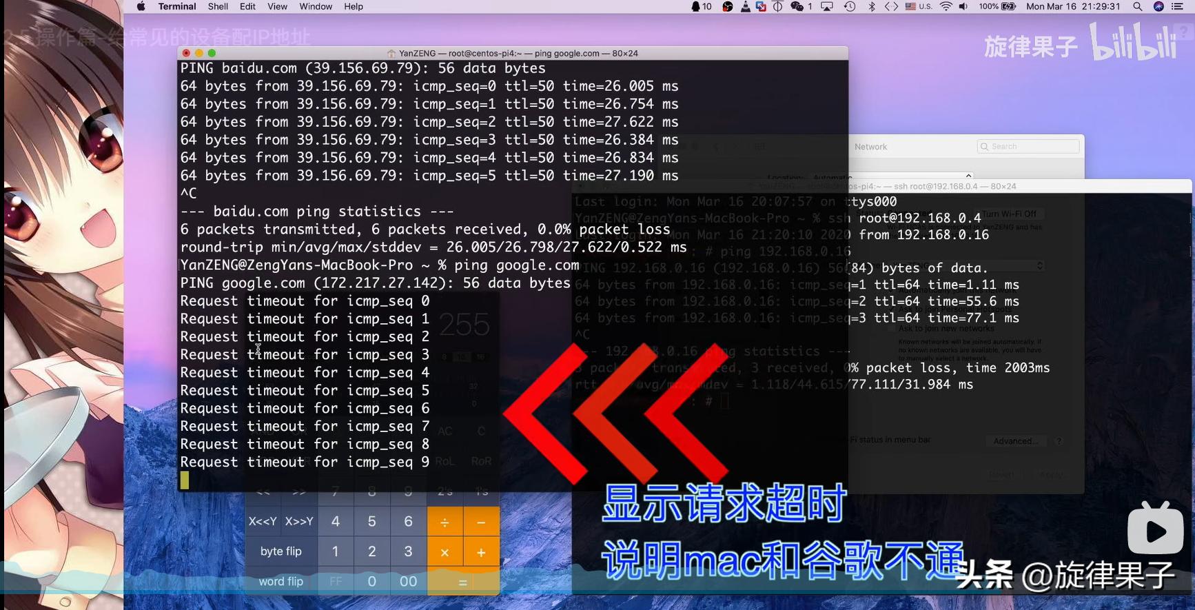 ip地址分配操作,mac地址绑定解决ip冲突