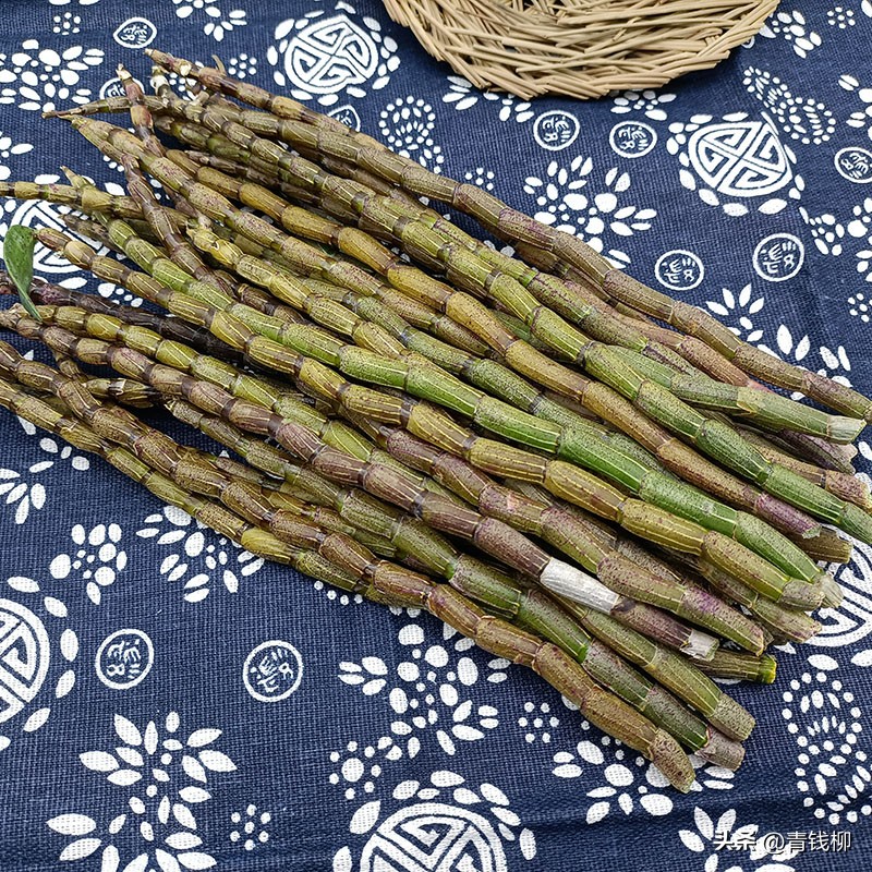 铁皮石斛苗仿野生棚种植,铁皮石斛仿野生种植水肥管理